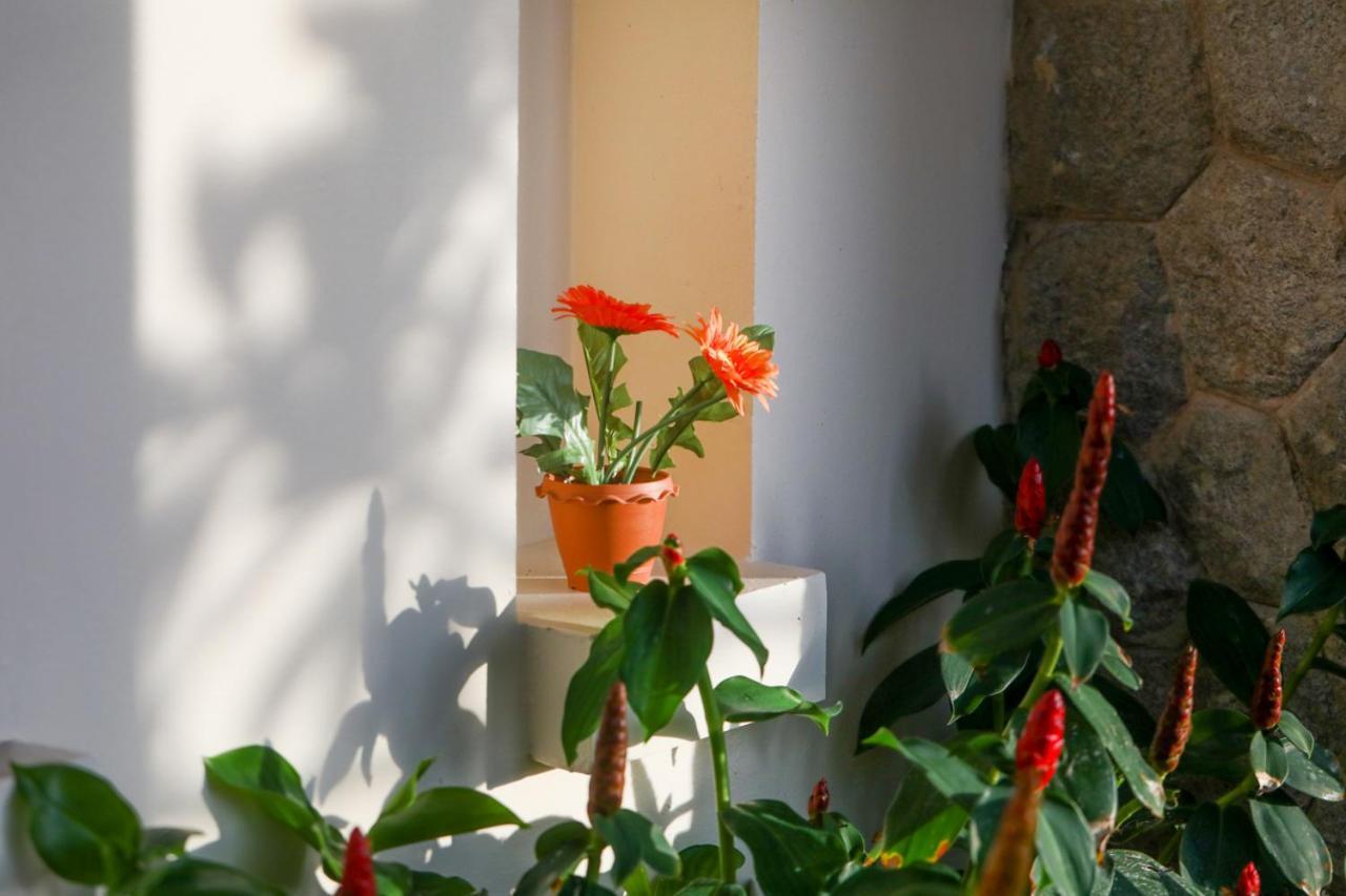 Prima Villas Karon Phuket Ban Karon Zewnętrze zdjęcie